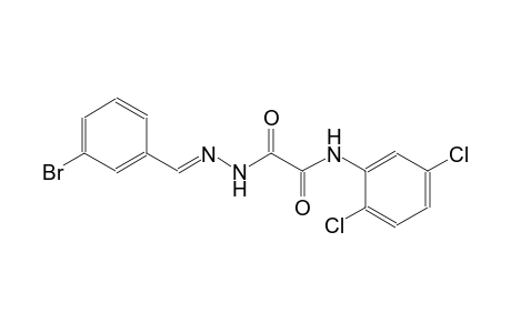 2-[(2E)-2-(3-bromobenzylidene)hydrazino]-N-(2,5-dichlorophenyl)-2-oxoacetamide