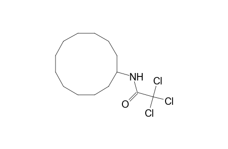2,2,2-trichloro-N-cyclododecyl-acetamide