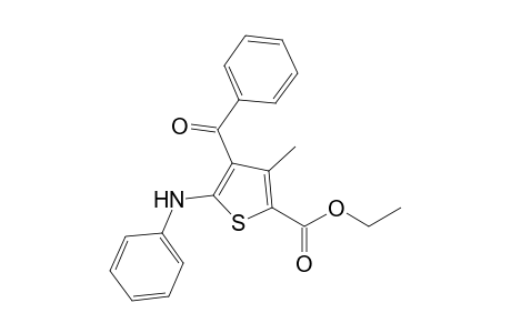 Ethyl-4-benzoyl-3-methyl-5-(phenylamino)thiophene-2-carboxylate