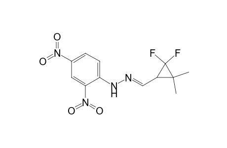 Cyclopropanecarboxaldehyde, 2,2-difluoro-3,3-dimethyl-, (2,4-dinitrophenyl)hydrazone