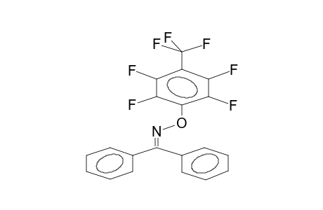 BENZOPHENONOXIME, O-PERFLUORO-PARA-TOLYL ETHER