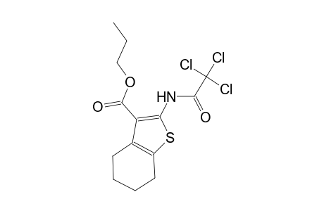 propyl 2-[(trichloroacetyl)amino]-4,5,6,7-tetrahydro-1-benzothiophene-3-carboxylate