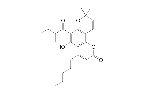 2H,8H-Benzo[1,2-b:3,4-b']dipyran-2-one, 5-hydroxy-8,8-dimethyl-6-(2-methyl-1-oxobutyl)-4-pentyl-, (.+-.)-