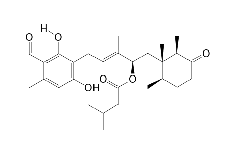 Cylindrol A3