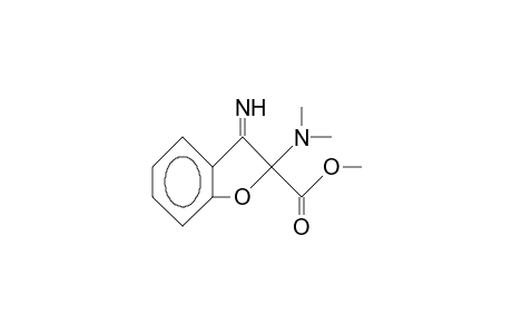 2-Dimethylamino-3-imino-2,3-dihydro-benzofuran-2-carboxylic acid, methyl ester