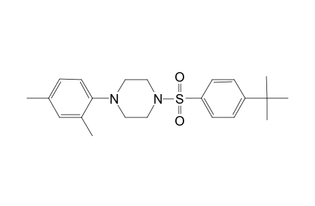 1-(4-tert-butylphenyl)sulfonyl-4-(2,4-dimethylphenyl)piperazine
