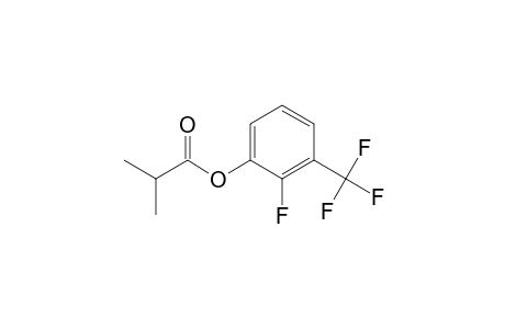 Isobutyric acid, 2-fluoro-3-trifluoromethylphenyl ester
