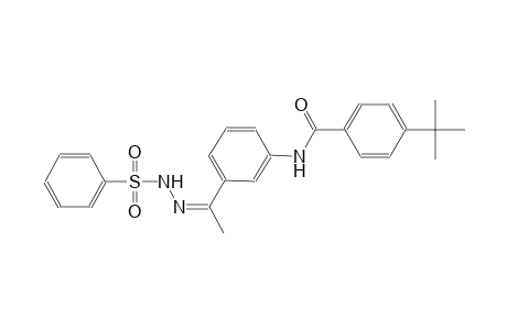 4-tert-butyl-N-{3-[(1Z)-N-(phenylsulfonyl)ethanehydrazonoyl]phenyl}benzamide