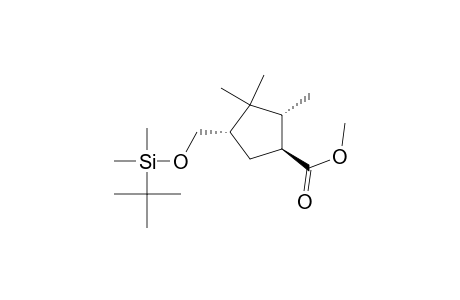 (1S,3S,5R)-Methyl 3-[[(tert-Butyldimethylsilyl)oxy]methyl]-4,4,5-trimethylcyclopentanecarboxylate