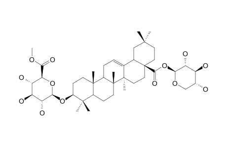SCABEROSIDE-B2;3-O-BETA-[(6-O-METHYL)-GLUCURONOPYRANOSYL]-OLEANOLIC-ACID-28-O-XYLOPYRANOSYLESTER