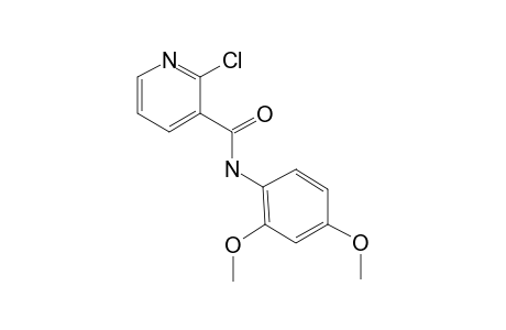 2-Chloro-N-(2,4-dimethoxyphenyl)nicotinamide