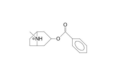 3a-Tropane benzoate N-cation