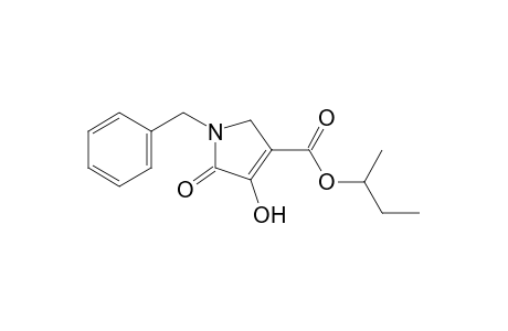 1-benzyl-4-hydroxy-5-oxo-3-pyrroline-3-carboxylic acid, sec-butyl ester