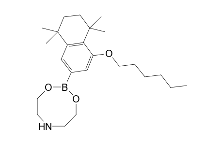 2-(4-Hexyloxy-5,5,8,8-tetramethyl-5,6,7,8-tetrahydronaphthalen-2-yl)-1,3,6,2-dioxazaborocane