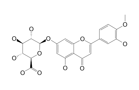 DIOSMETIN-7-O-BETA-D-GLUCURONIDOPYRANOSIDE
