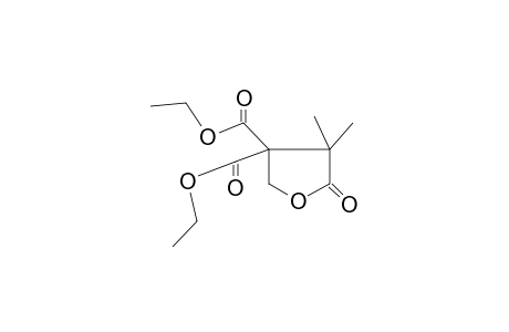 Diethyl 4,4-dimethyl-5-oxo-tetrahydrofuran-3,3-dicarboxylic acid