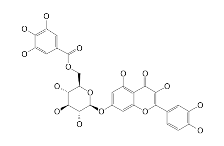 QUERCETIN-7-O-BETA-(6''-GALLOYLGLUCOPYRANOSIDE)