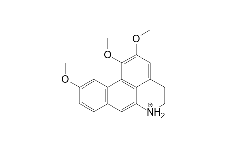 Glaucine MS3_2