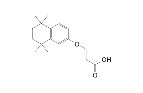 3-(1,2,3,4-Tetrahydro-1,1,4,4-tetramethylnaphthalen-6-yloxy)propanoic acid
