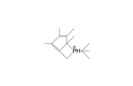 6-tert-Butyl-2,3,4,5-tetramethyl-6-phospha-bicyclo(3.2.0)hepta-1,3-dien-6-yl cation