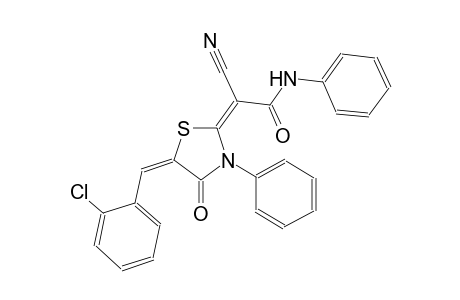 (2E)-2-[(5E)-5-(2-chlorobenzylidene)-4-oxo-3-phenyl-1,3-thiazolidin-2-ylidene]-2-cyano-N-phenylethanamide
