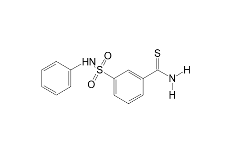 m-(phenylsulfamoyl)thiobenzamide