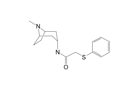 N-(8-Methyl-8-azabicyclo[3.2.1]oct-3-yl)-2-(phenylsulfanyl)acetamide