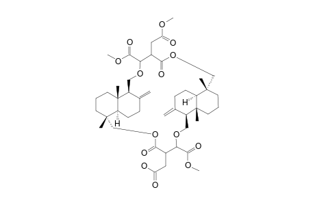 #3;CRYPTOPORIC-ACID-J;(2R,3S)-2-[[(1S*,4AR*,5R*,8AS*)-5-(HYDROXYMETHYL)-5,8A-DIMETHYL-2-METHYLENEDECAHYDRO-NAPHTHALEN-1-YL]-METHOXY]-3-(METHOXYCARBONYL)-PENTAN