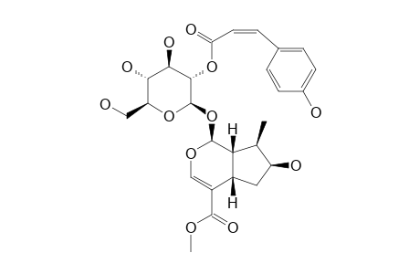 2'-O-CIS-COUMAROYL-LOGANIN