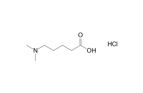 5-(dimethylamino)valeric acid, hydrochloride