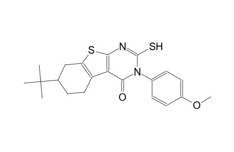 7-tert-butyl-3-(4-methoxyphenyl)-2-sulfanyl-5,6,7,8-tetrahydro[1]benzothieno[2,3-d]pyrimidin-4(3H)-one
