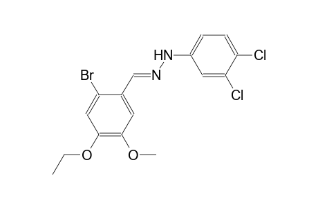 2-bromo-4-ethoxy-5-methoxybenzaldehyde (3,4-dichlorophenyl)hydrazone