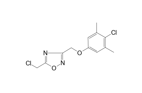 3-[(4-Chloro-3,5-dimethylphenoxy)methyl]-5-(chloromethyl)-1,2,4-oxadiazole