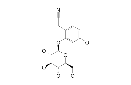 2-(2,4-DIHYDROXYPHENYL)-ACETONITRILE-2-O-BETA-D-GLUCOPYRANOSIDE