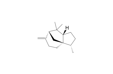 Funebrene<2-epi-beta->