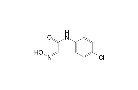 (2Z)-N-(4-chlorophenyl)-2-hydroximino-acetamide