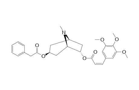 CIS-PERVILLEINE_F;3-ALPHA-PHENYLACETOXY-6-BETA-(Z)-(3,4,5-TRIMETHOXYCINNAMOYLOXY)-TROPANE