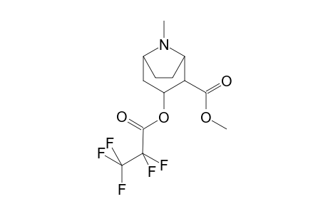 Cocaine-M/A (methylecgonine) PFP    @