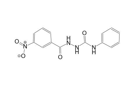 benzoic acid, 3-nitro-, 2-[(phenylamino)carbonyl]hydrazide