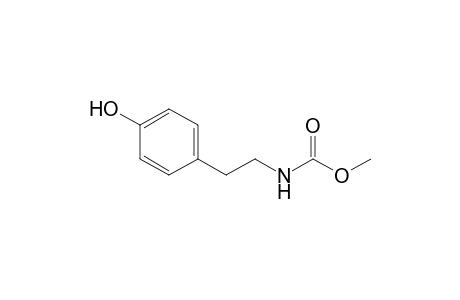 Methyl N-[2-(4-hydroxyphenyl)ethyl]carbamate