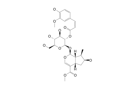 2'-O-CIS-FERULOYL-LOGANIN