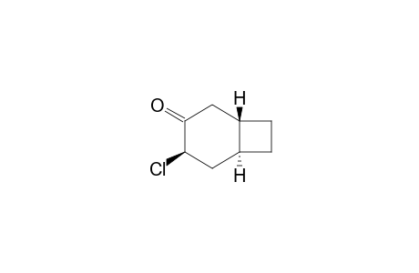 4-EQU-CHLORO-TRANS-BICYCLO-[4.2.0]-OCTAN-3-ONE