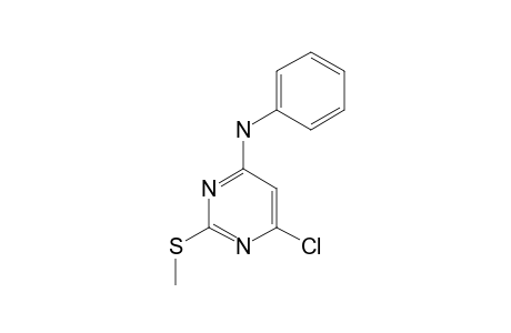 6-CHLORO-2-METHYLTHIO-N-PHENYLPYRIMIDIN-4-AMINE