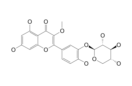QUERCETIN-3-METHYLETHER-3'-O-XYLOPYRANOSIDE