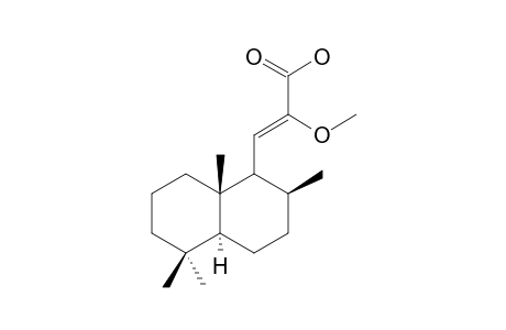(Z)-12-methoxy-14,15,16-trinorlabd-11-en-13-oic acid