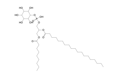 PI 9:0_19:0