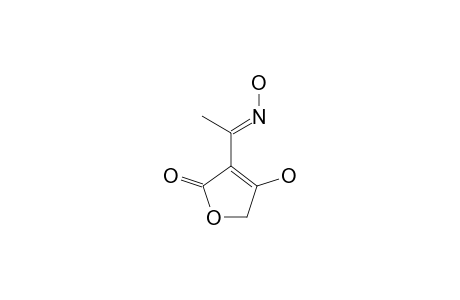 (E)-4-HYDROXY-3-(1-HYDROXY-IMINO-ETHYLIDENE)-2-OXO-2,5-DIHYDROFURANE