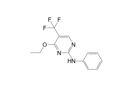 2-phenylamino-4-ethoxy-5-(trifluoromethyl)pyrimidine