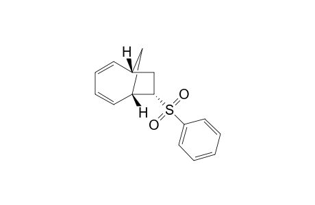 7.alpha.-Phenylsulfonyl-(1H.beta.,6H.beta.)-bicyclo[4.2.1]nona-2,4-diene