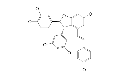 5-[(2S,3S)-2-(3,4-dihydroxyphenyl)-6-hydroxy-4-[(E)-2-(4-hydroxyphenyl)vinyl]-2,3-dihydrobenzofuran-3-yl]resorcinol
